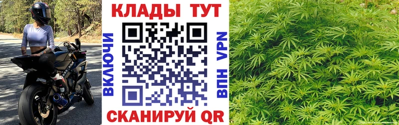 Галлюциногенные грибы Ветлуга