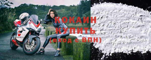 первитин Коряжма