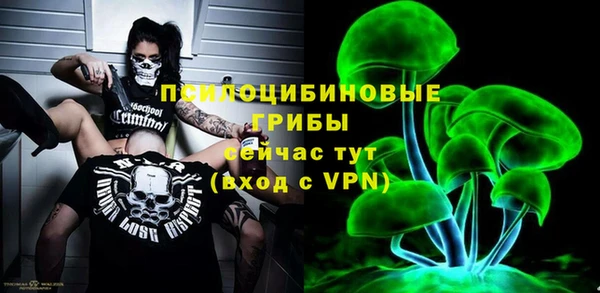 меф Козельск