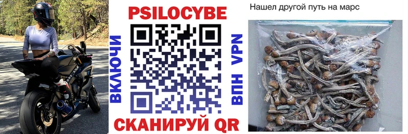 Псилоцибиновые грибы Psilocybe  Купить где  Ветлуга 